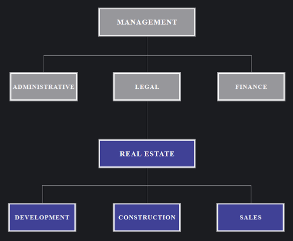 CKV Unternehmensstruktur
